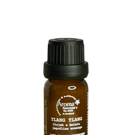 Brown glass bottle of Ylang Ylang essential oil with a black dropper cap and white label (Aroma Sanctuary) on a white background.
