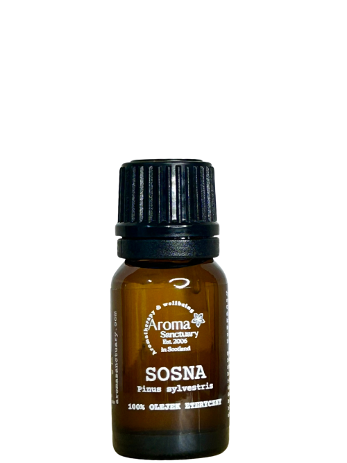 100% Olejek eteryczny z Sosny Zwyczajnej (Pinus sylvestris) 10 ml
